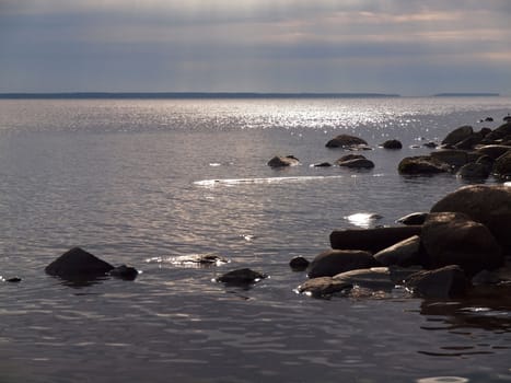 Coast of lake in the morning     