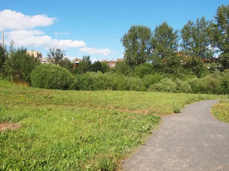 Park in the summer