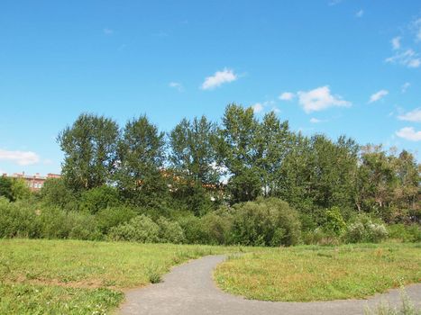 Park in the summer