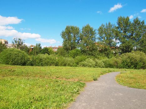 Park in the summer