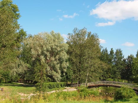 Park in the summer