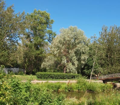 Park in the summer