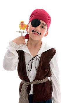 A young boy pirate holds a pet love bird on perched on a wooden stand