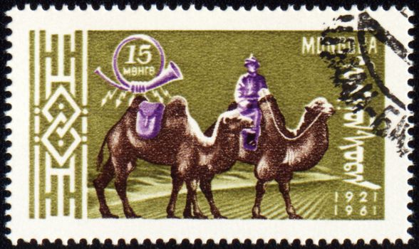 MONGOLIA - CIRCA 1961: stamp printed in Mongolia, shows cameleer with two camels, series, circa 1961