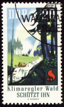 GDR - CIRCA 1960s: a stamp printed in GDR (East Germany), devoted to the forest protection, circa 1960s