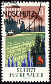GDR - CIRCA 1960s: a stamp printed in GDR (East Germany), devoted to the forest protection, circa 1960s