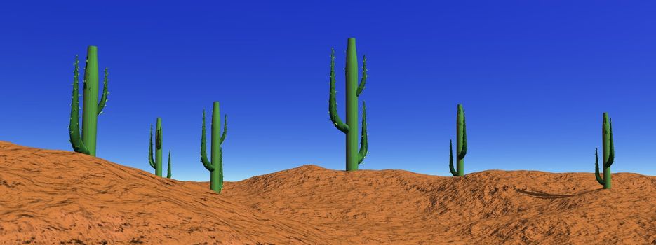 Several green cactus in a desert made of brown sand with deep blue sky