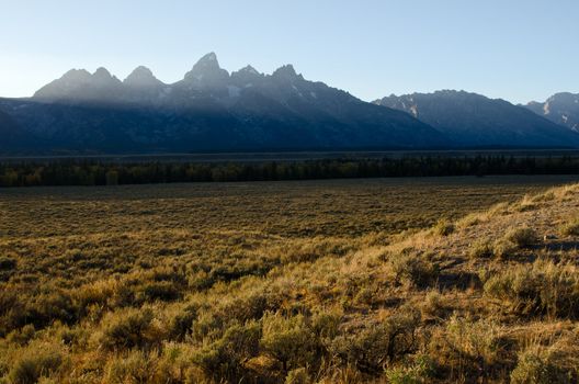 Sagebrush and the Teton Mountains, Grand Teton National Park, Wyoming, USA