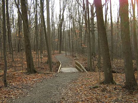 A photograph of a walking trail in autumn.