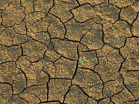 A photograph of dried mud detailing its texture.