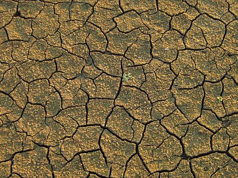 A photograph of dried mud detailing its texture.