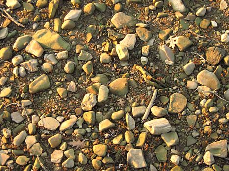 A photograph of stony soil detailing its texture.