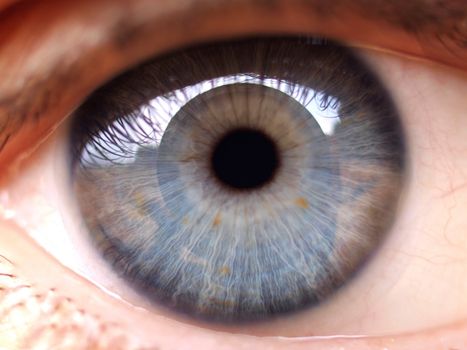 close up of a blue  eye