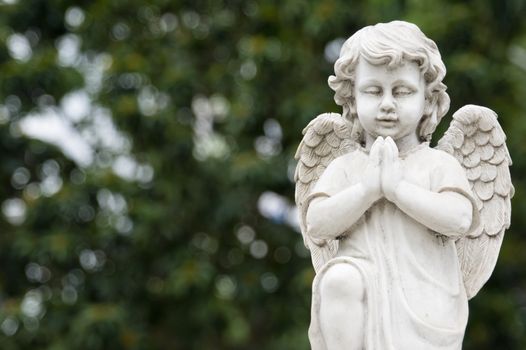 Cute winged Angel statue in praying pose with greenry background