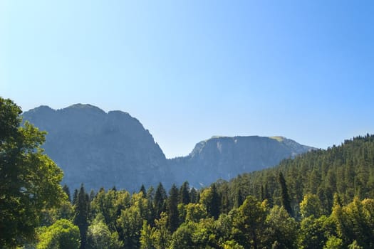 Blue sky with mountain and green trees
