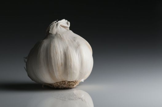 Garlic ready for preparing traditional Italian food