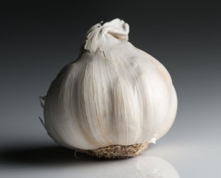 Garlic ready for preparing traditional Italian food