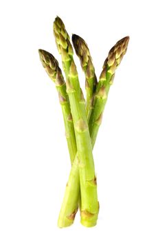 Asparagus fronds on a white background