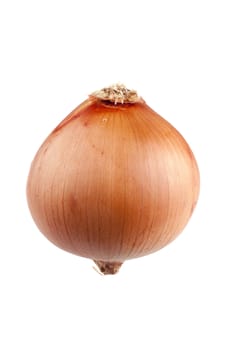 golden onion isolated on a white background