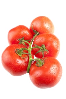 bunch of 5 fresh ripe tomato's isolated on a white background