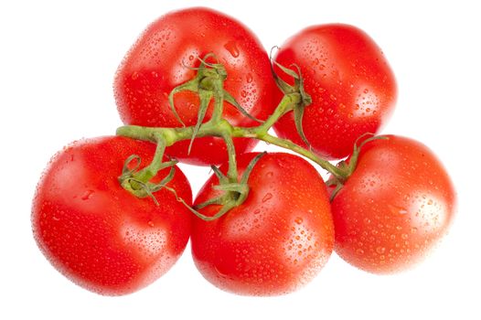 bunch of 5 fresh ripe tomato's isolated on a white background