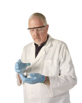 microbiologist or medical scientist looking into petri dish