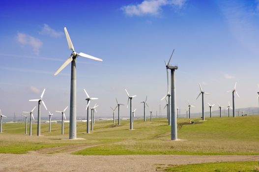 Alternate energy power source wind generator farm in California 