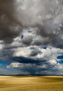 Rolling fields and storm clouds, Teton County, Idaho, USA