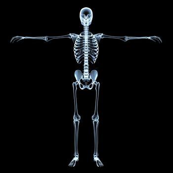 radiological image of the human skeleton - black background