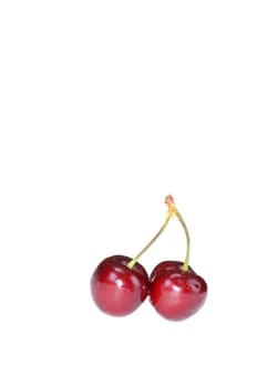 pair of Fresh cherry's isolated on a white background with lots of room for text