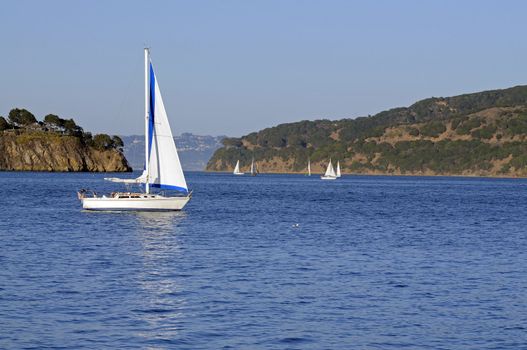 Sailboats in San Francisco Bay with jib sail up and mainsail reefed