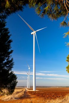 Typical windmill or aerogenerator of aeolian energy