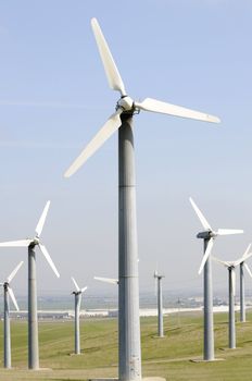 Alternate energy power source wind generator farm in California 