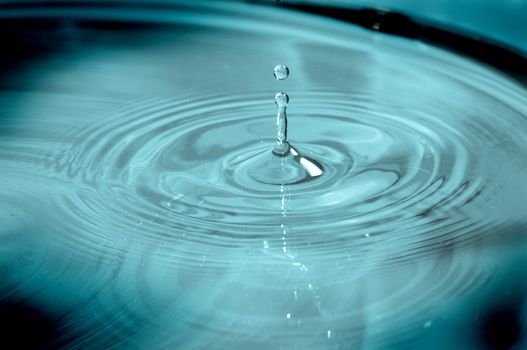Water droplets after striking the surface of a pond