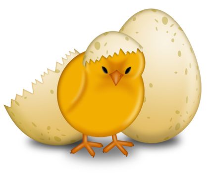 Easter Chick Hatching with Eggshell Illustration
