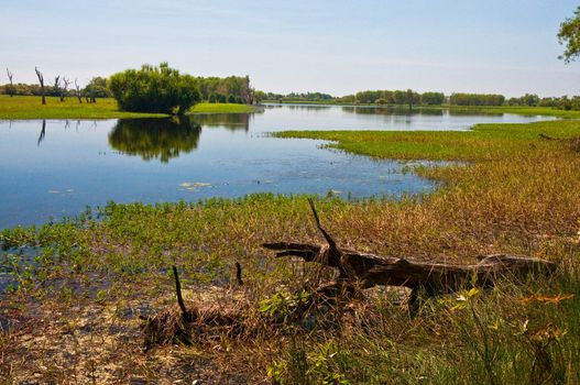 landscape of Kakadu National Park, australia