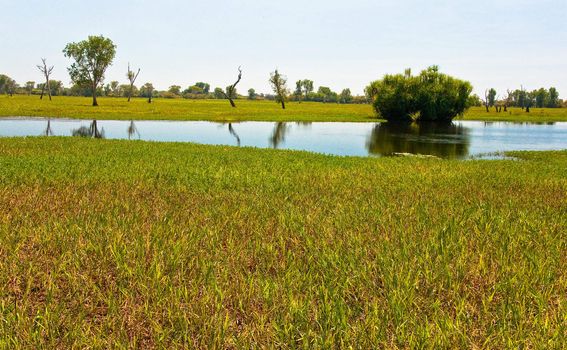 landscape of Kakadu National Park, australia