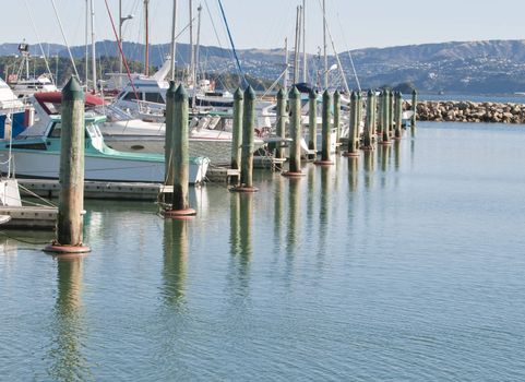 Piling posts in Petone Marine, New Zealand