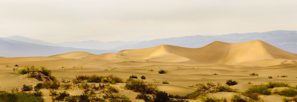 sunset in Death Valley on Mesquite Dunes