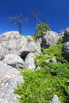 Large boulders dominate the landscape of the Black Hills National Forest in South Dakota.