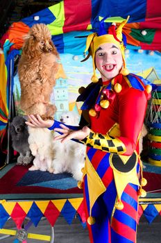 Wide smiling harlequin clown in hat is holding red poodle on his palm.