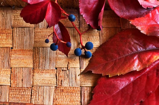 Red leaves and berries on straw basket bottom