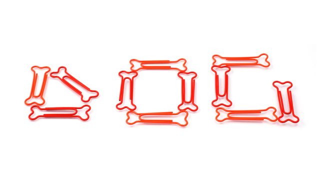 Colored bone-shaped paper clips isolated on white forming the word dog