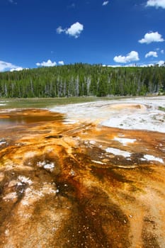 Bright orange colors of thermophilic bacteria in the Upper Geyser Basin of Yellowstone National Park.