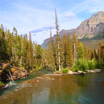 Saint Mary Creek flows through thick forests of Glacier National Park - Montana.