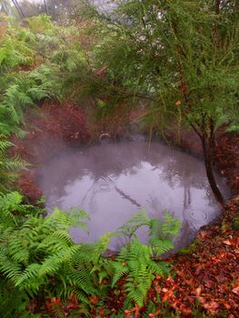 A beautiful hot spring at Kuirau Park in Rotorua - New Zealand.