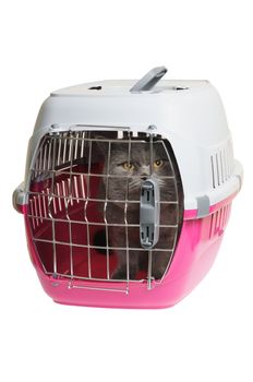 Pet carrier with cat. Isolated on white background.