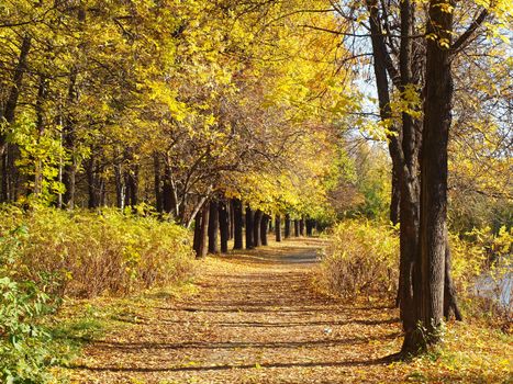 Park in the fall 
