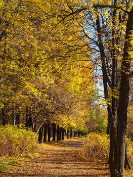 Park in the fall 