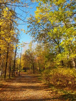 Park in the fall 